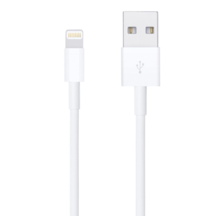 Apple Cable USB-A a Lightning 1m